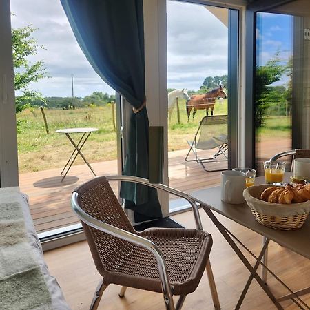 Gites & Tiny Houses Les Hauts De Toulvern Baden Rum bild