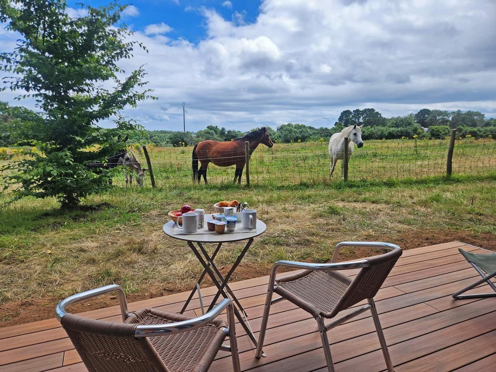 Gites & Tiny Houses Les Hauts De Toulvern Baden Rum bild