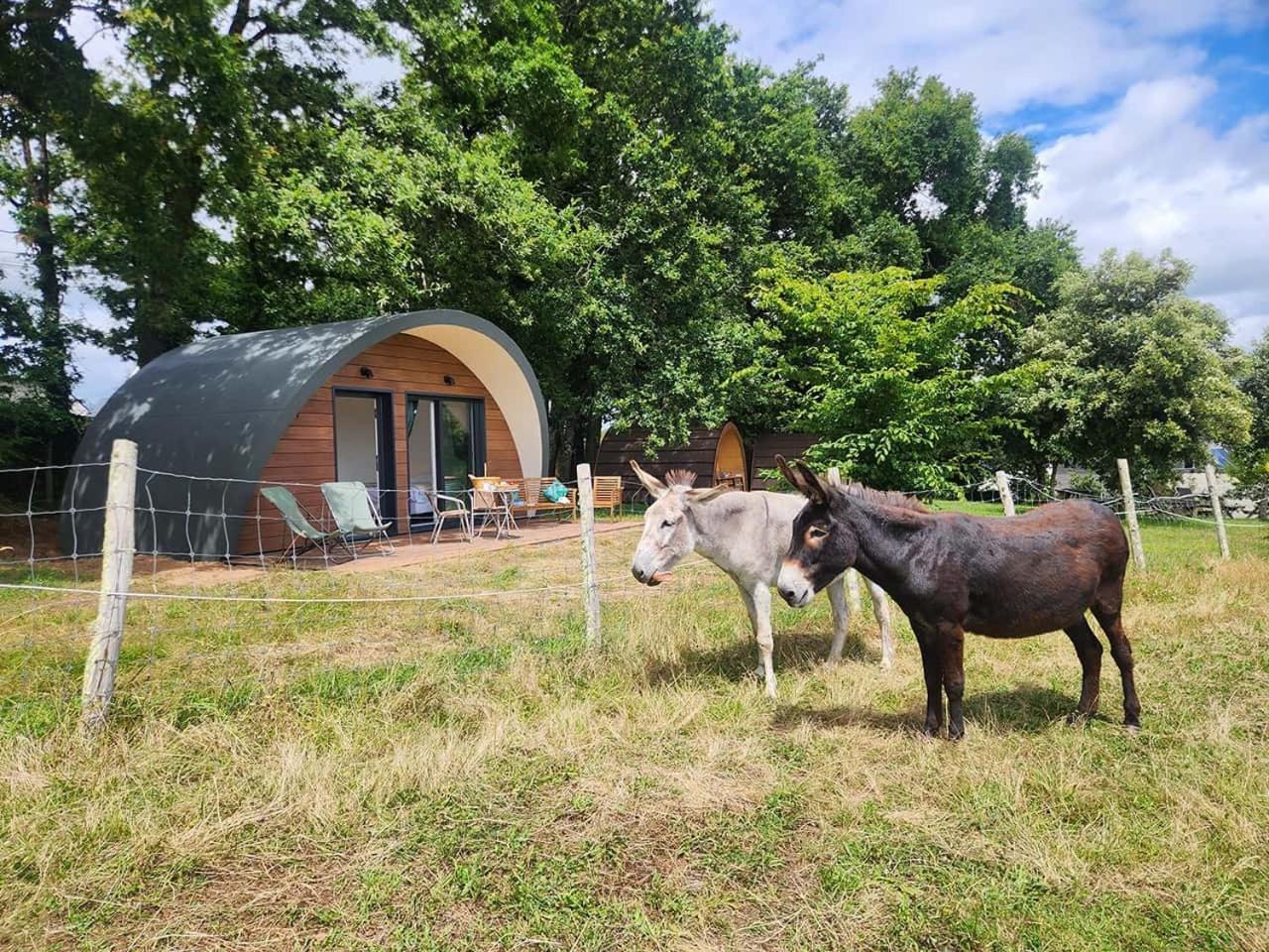 Gites & Tiny Houses Les Hauts De Toulvern Baden Rum bild