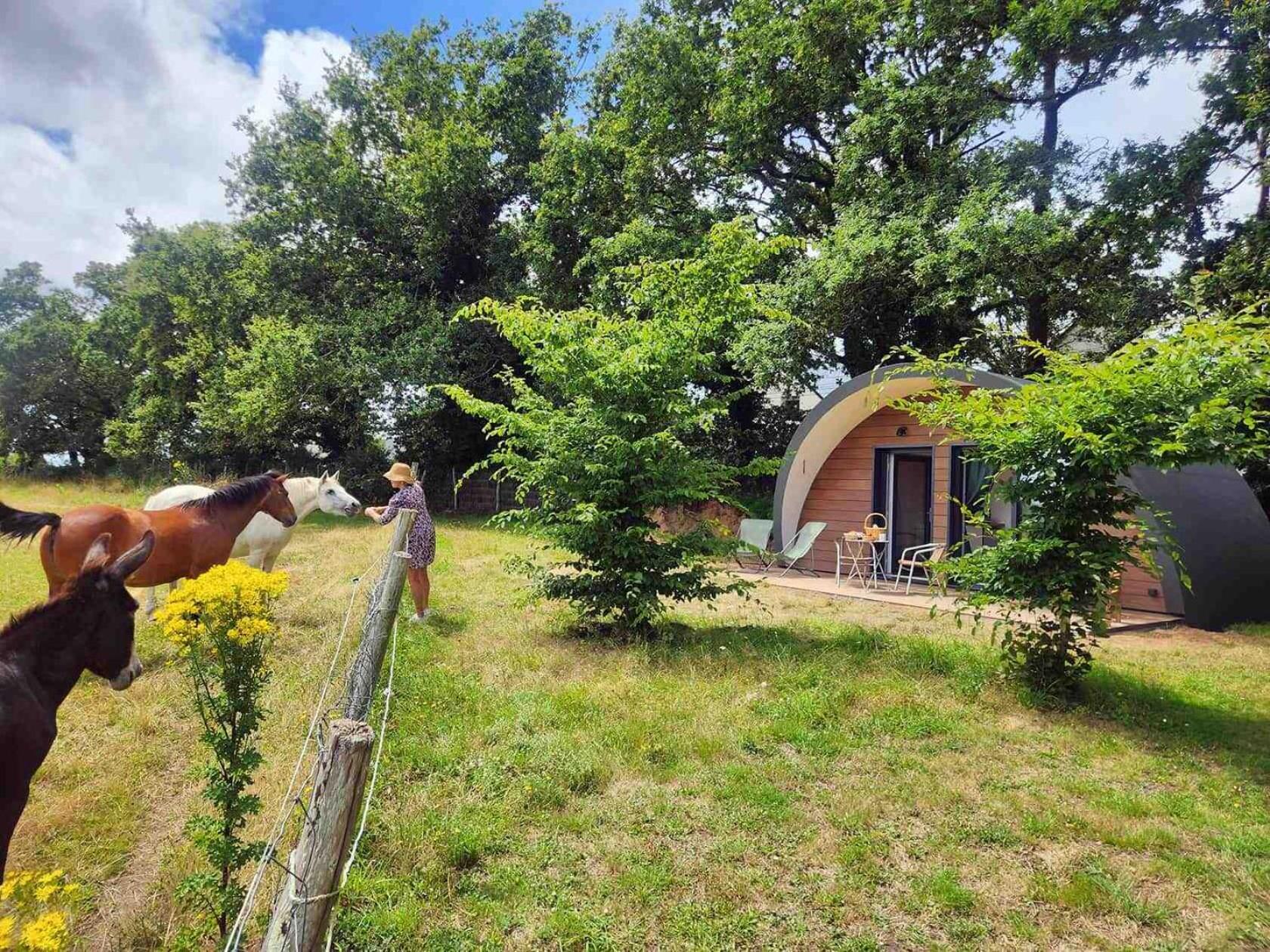 Gites & Tiny Houses Les Hauts De Toulvern Baden Rum bild